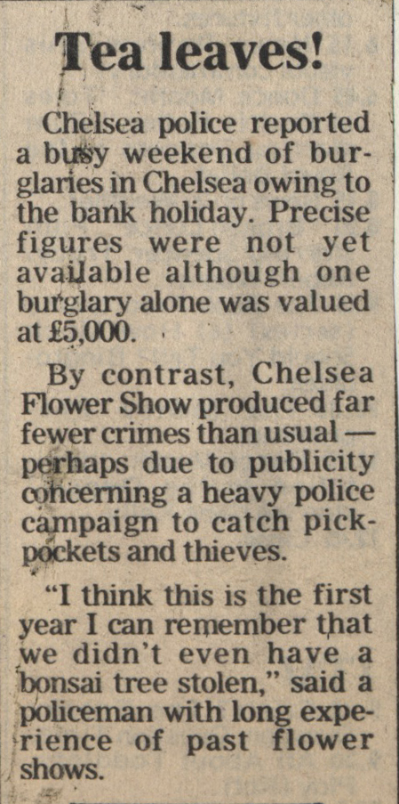 19800530 THEFTS CN.jpg
